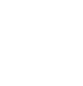Blueprint Partners logo in white