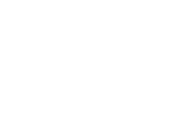 logo-bt-3x2-white