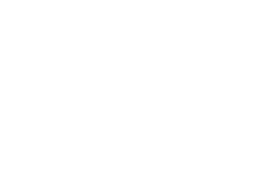 logo-porshe-3x2-white